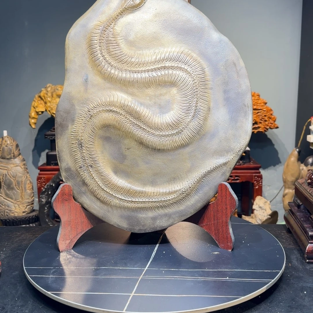 呵***乐蛇龙摆件的一条的