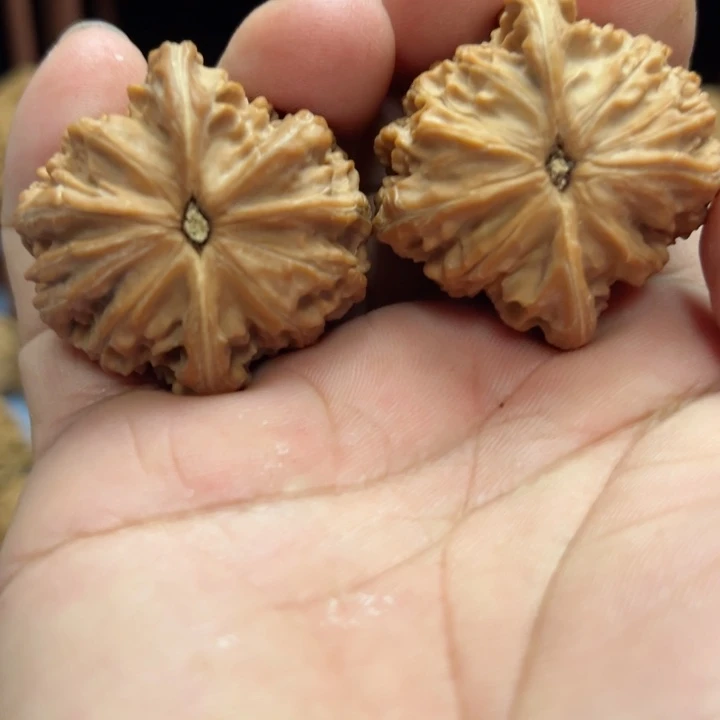 完全开放韩*魔南疆石