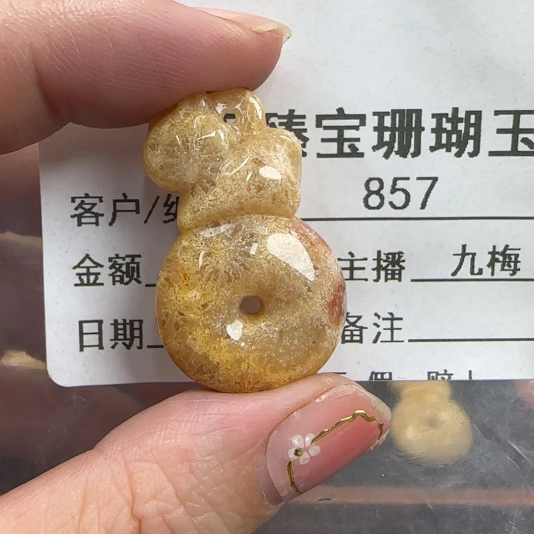 硅化珊瑚（珊瑚玉）未镶嵌颈饰