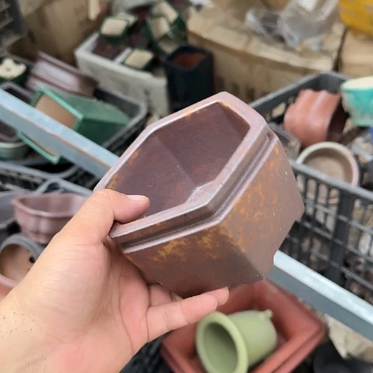 这就是为什么不可以说呢啊这