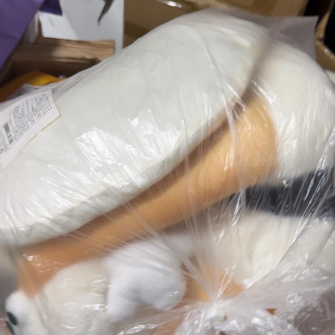 99新猫窝猫窝猫窝