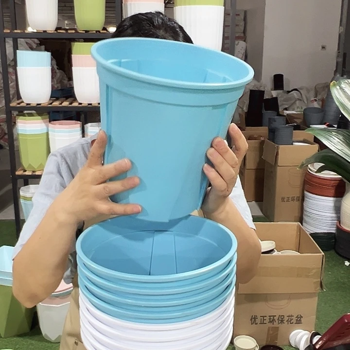 青山口21高21混色无托10只