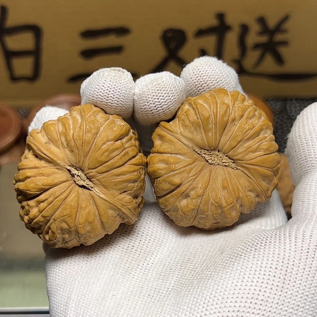 文玩核桃把件M****u核桃