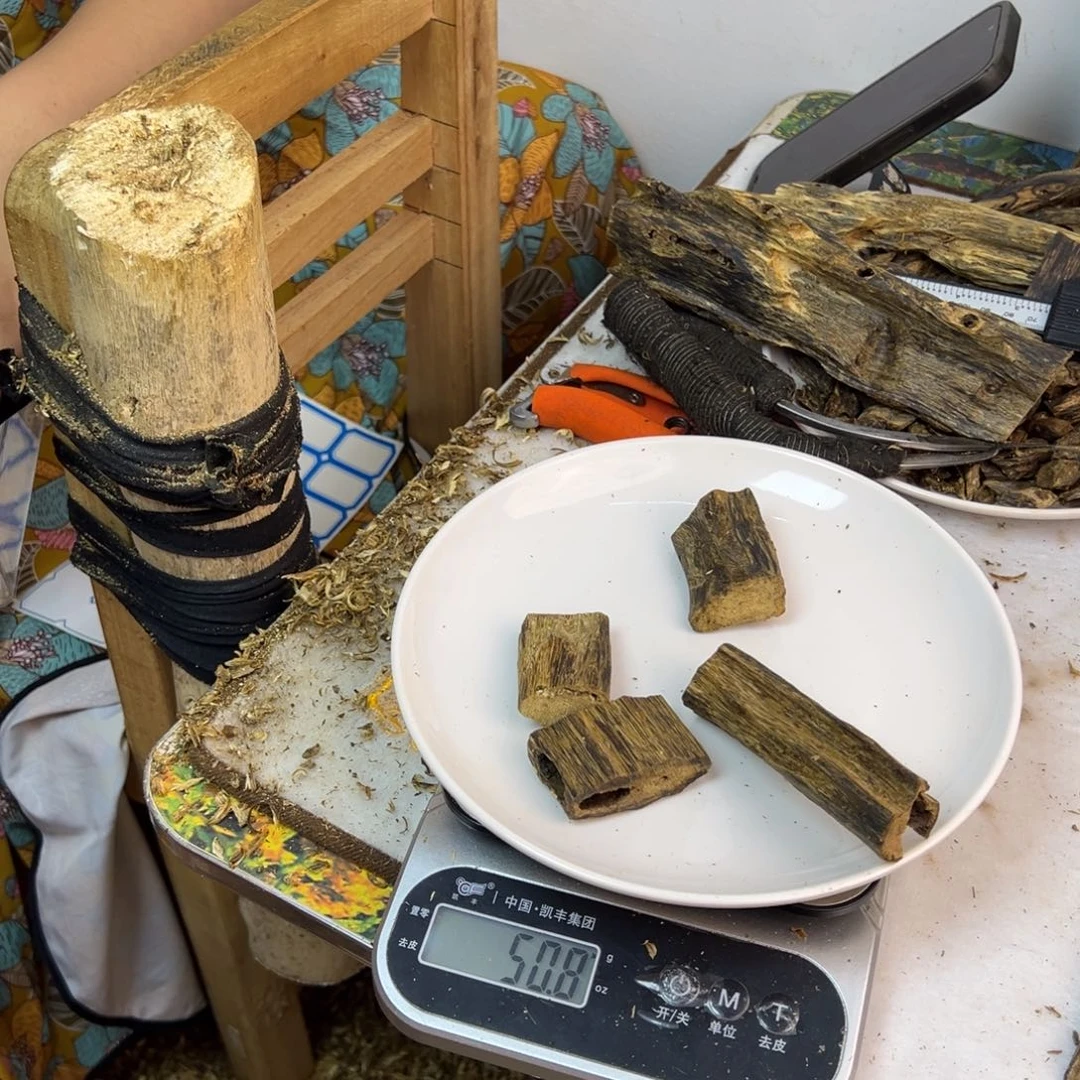 线香奇楠虫漏香50克