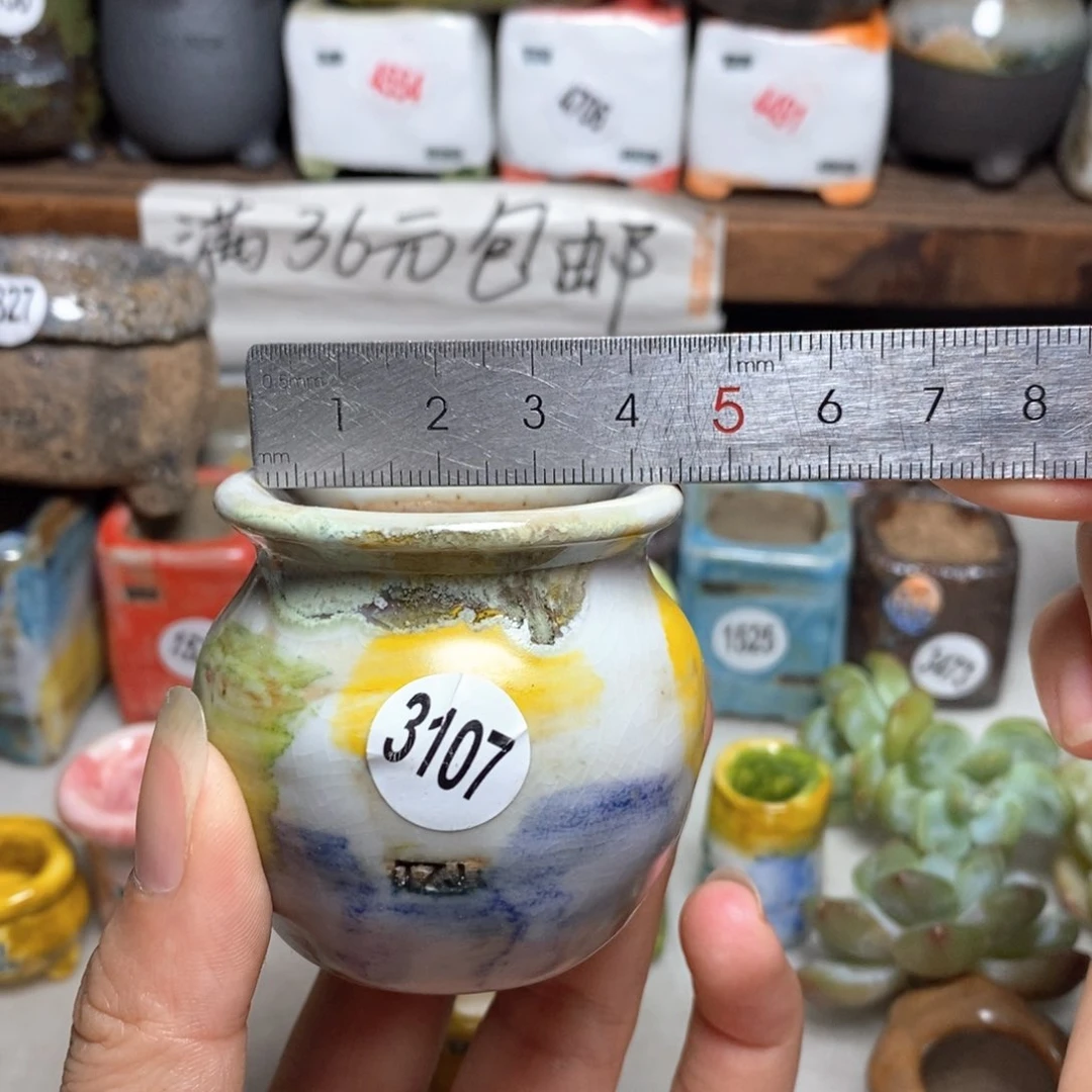 拍5送一个小礼物