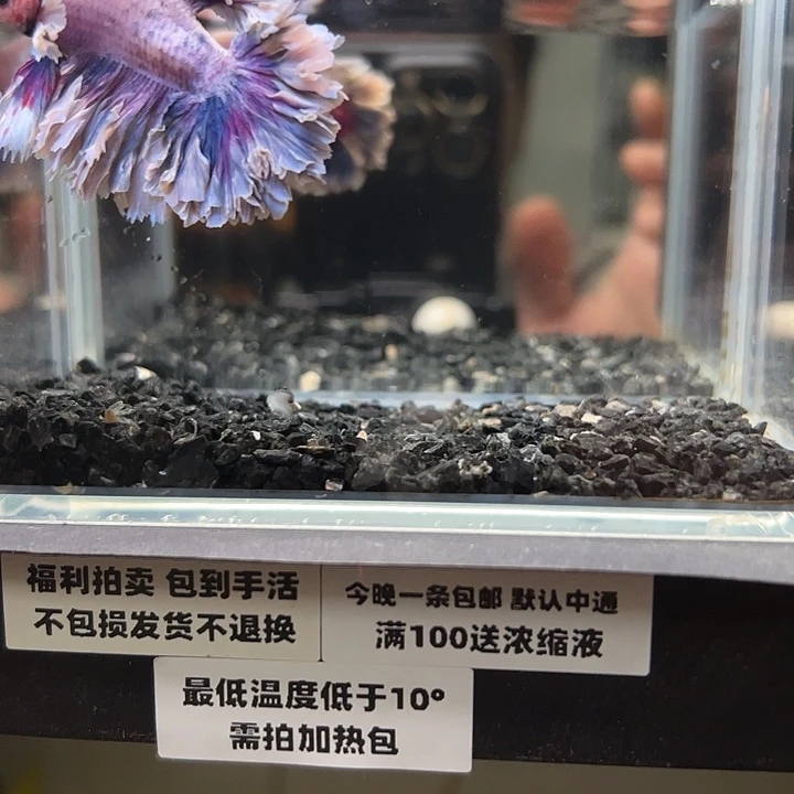 斗鱼跑单拉黑3日86