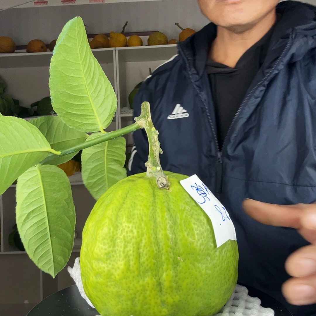 李***悦香水柠檬云南高山大香橼