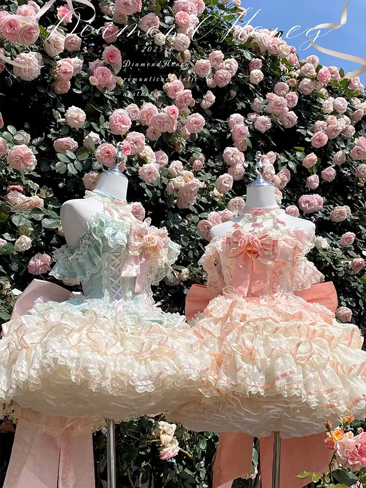 【爱神花语】春夏仙女裙·超重工玫瑰蕾丝浪漫氛围感仙女公主裙