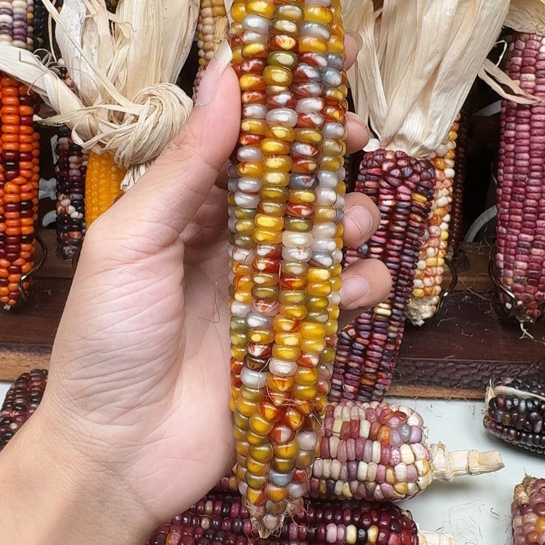 米***夏吊坠柏香籽/百香籽