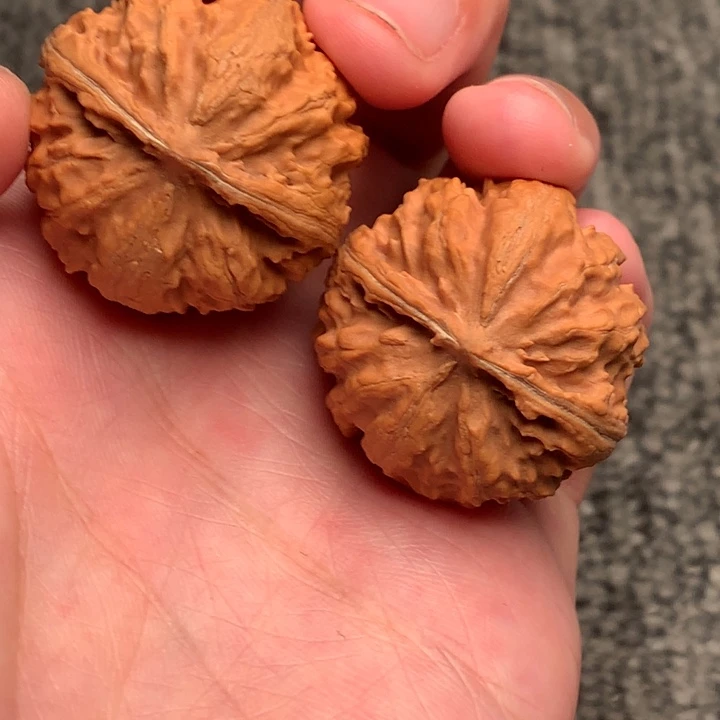 文玩核桃吊坠粗筋霸王龙。