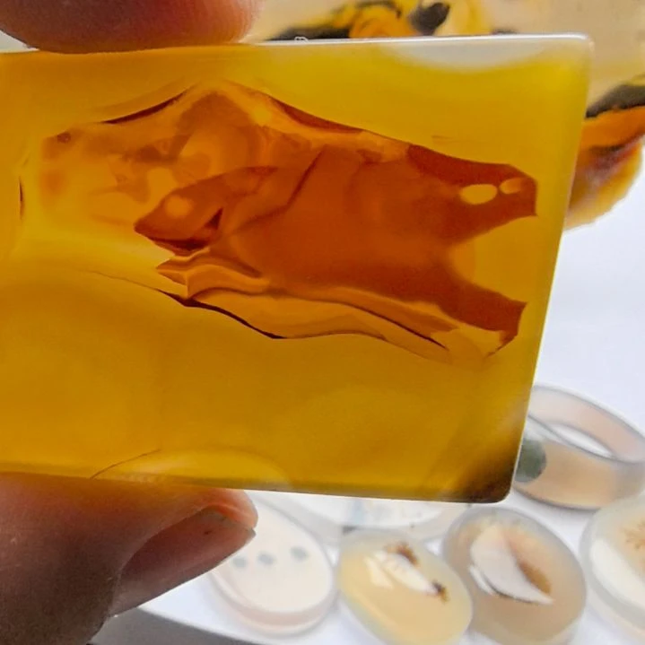 非金属时尚饰品14