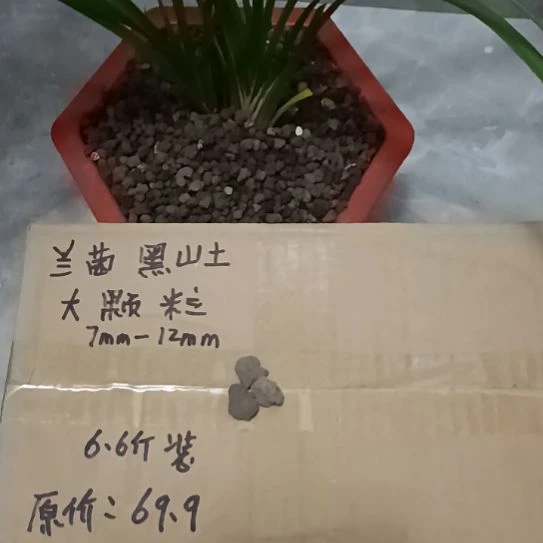 楼***主兰菌黑山土大颗粒6.6斤