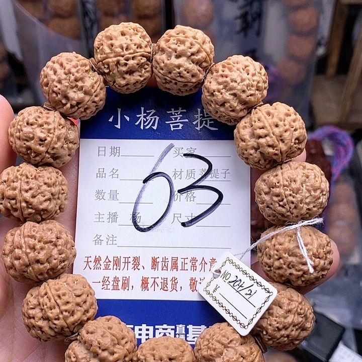 金刚菩提手串20.5/21铁骨双龙