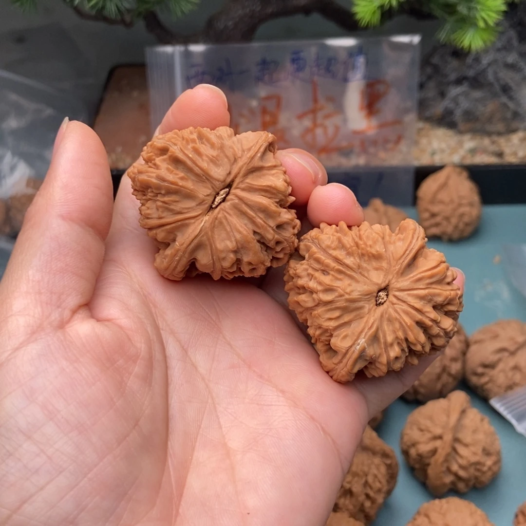 骑***波文玩核桃把件南将石8
