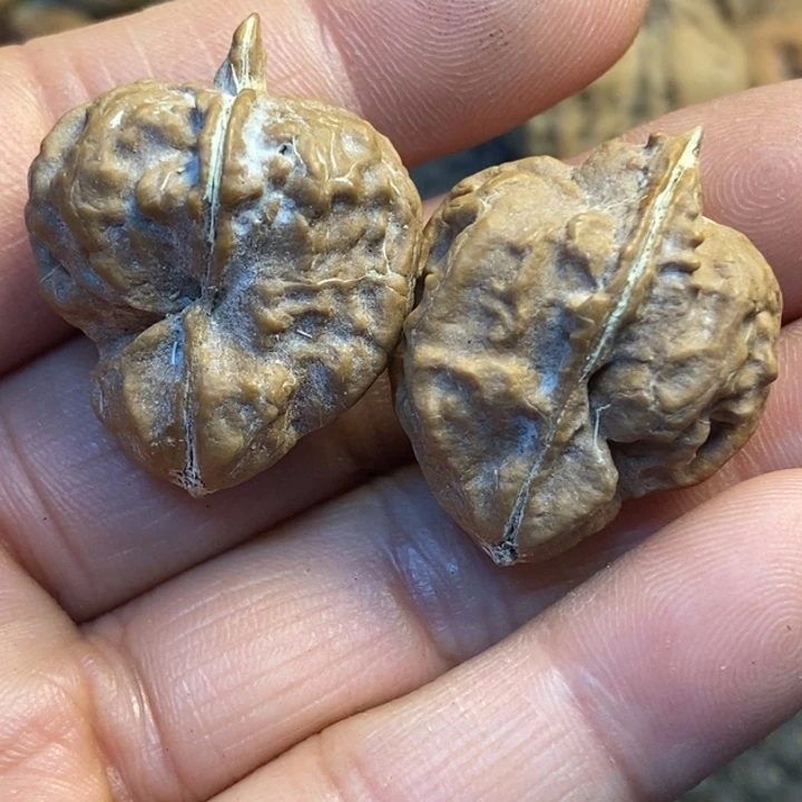 吊坠文玩核桃娜姐51