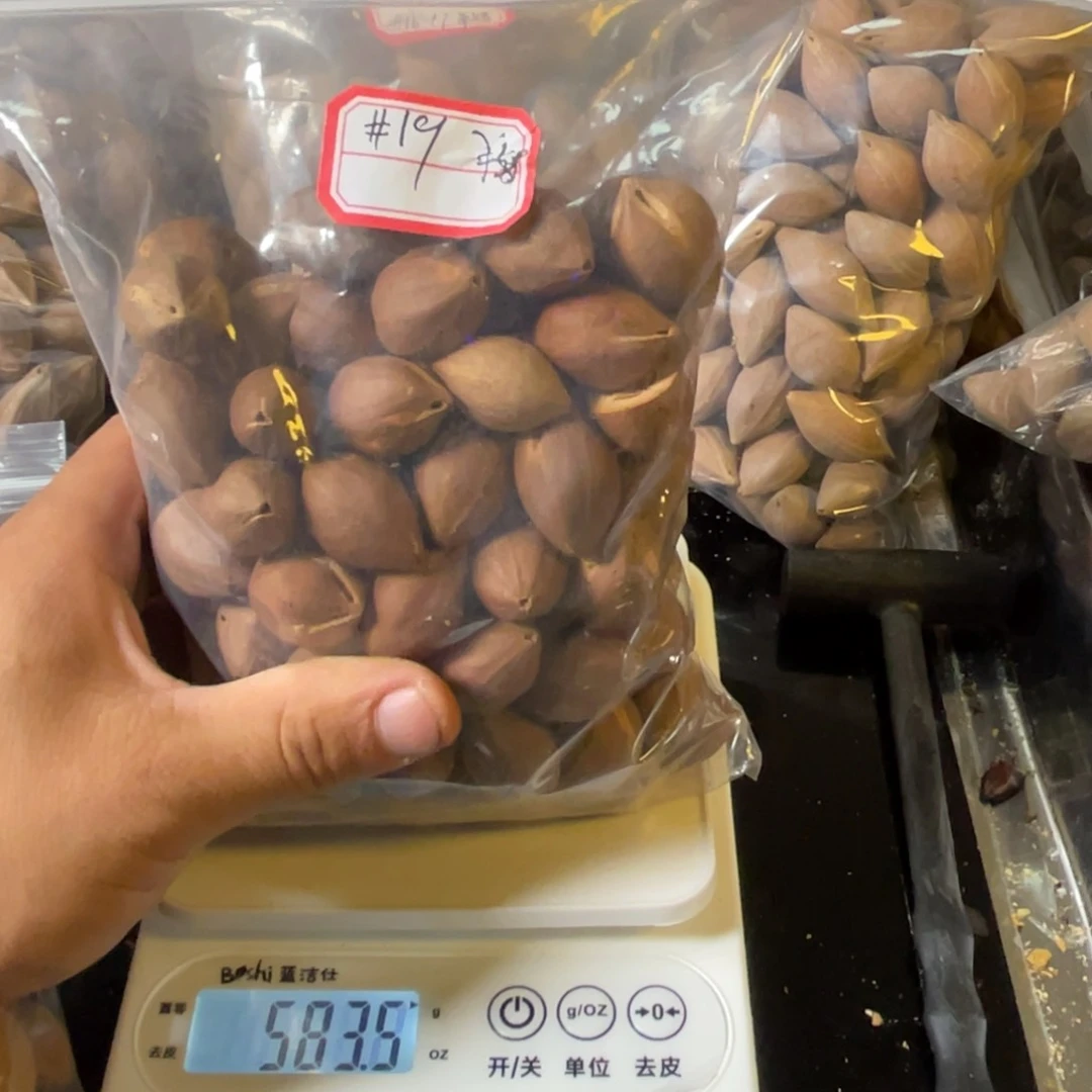 吊坠龙脊菩提热****生