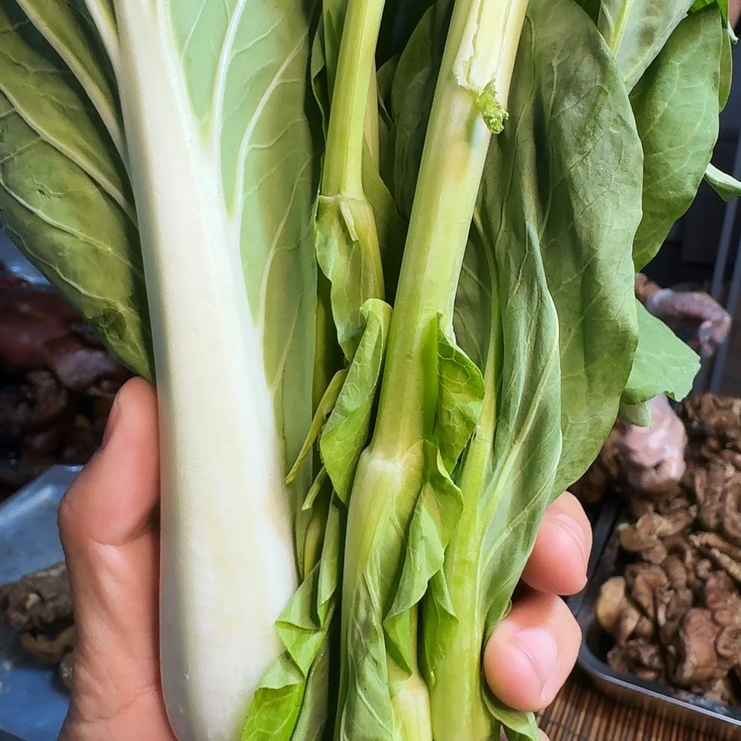 黎***白菜中国大陆青菜