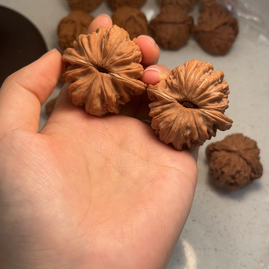 糖***猫大叶紫檀（黑酸枝木类）