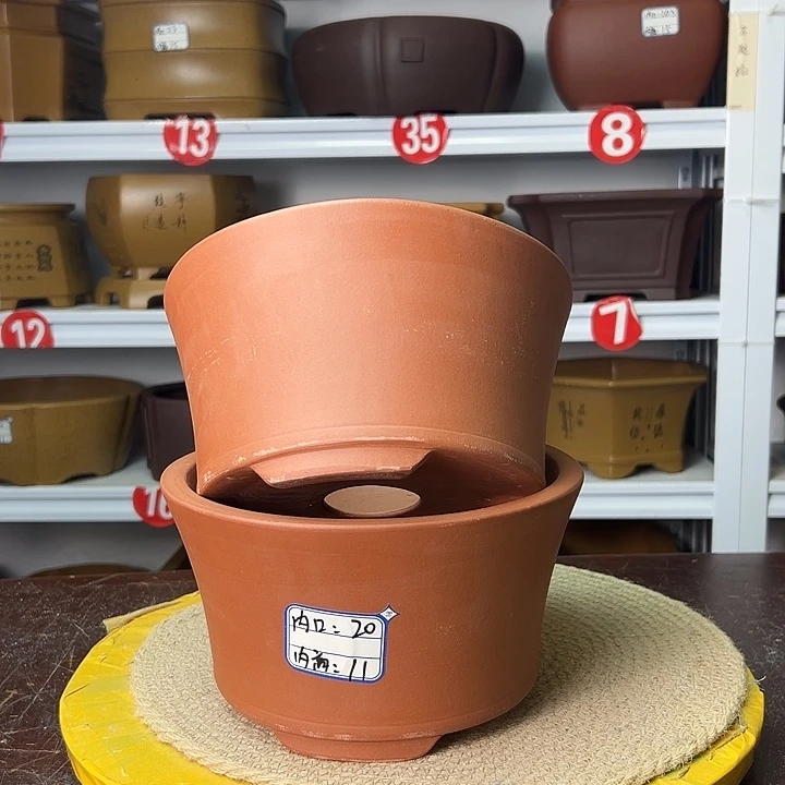 紫砂花盆你在一起