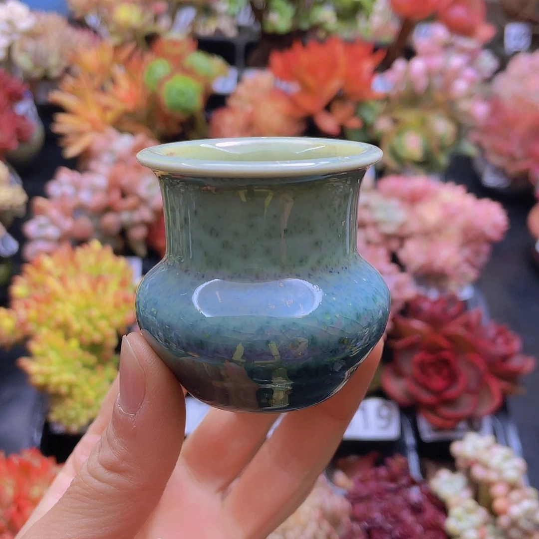 花钱花钱花钱花钱花钱