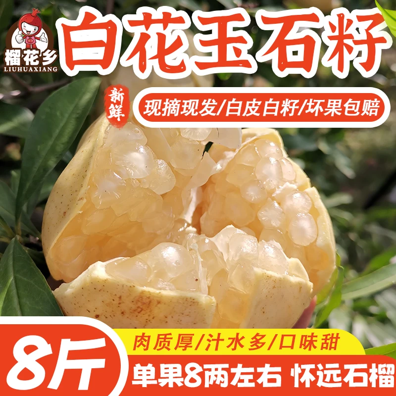 榴花乡 怀远白花玉石籽石榴薄皮多汁甜石榴新鲜石榴新鲜水果8斤