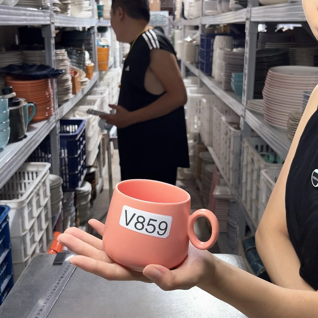 瓷片859           2个