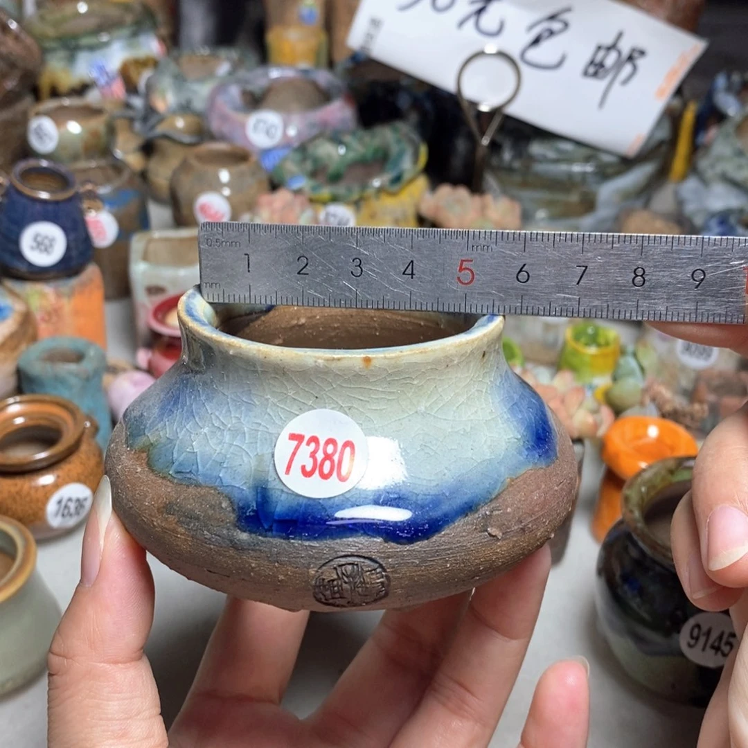 拍5送一个小礼物