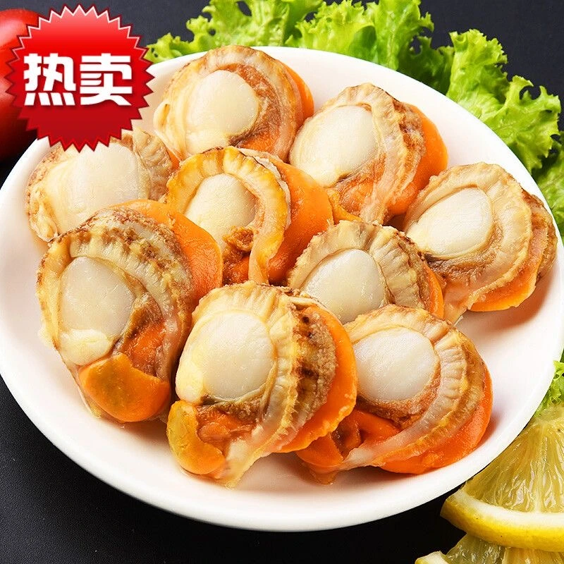 无沙扇贝肉 带黄大号扇贝肉 新鲜熟冻 250g/袋