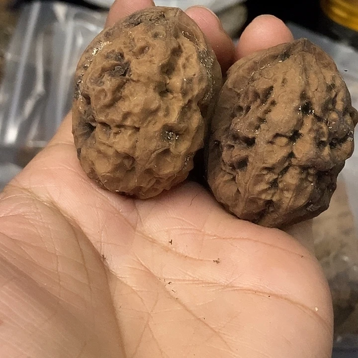 文玩核桃把件云南铁核桃基地26