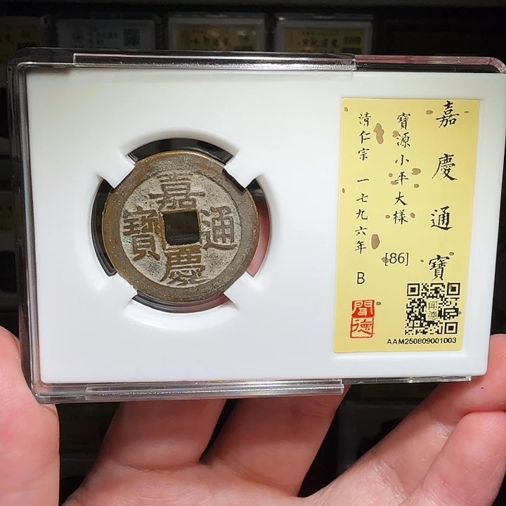 铜瀚海文物A嘉庆宝源大样1003