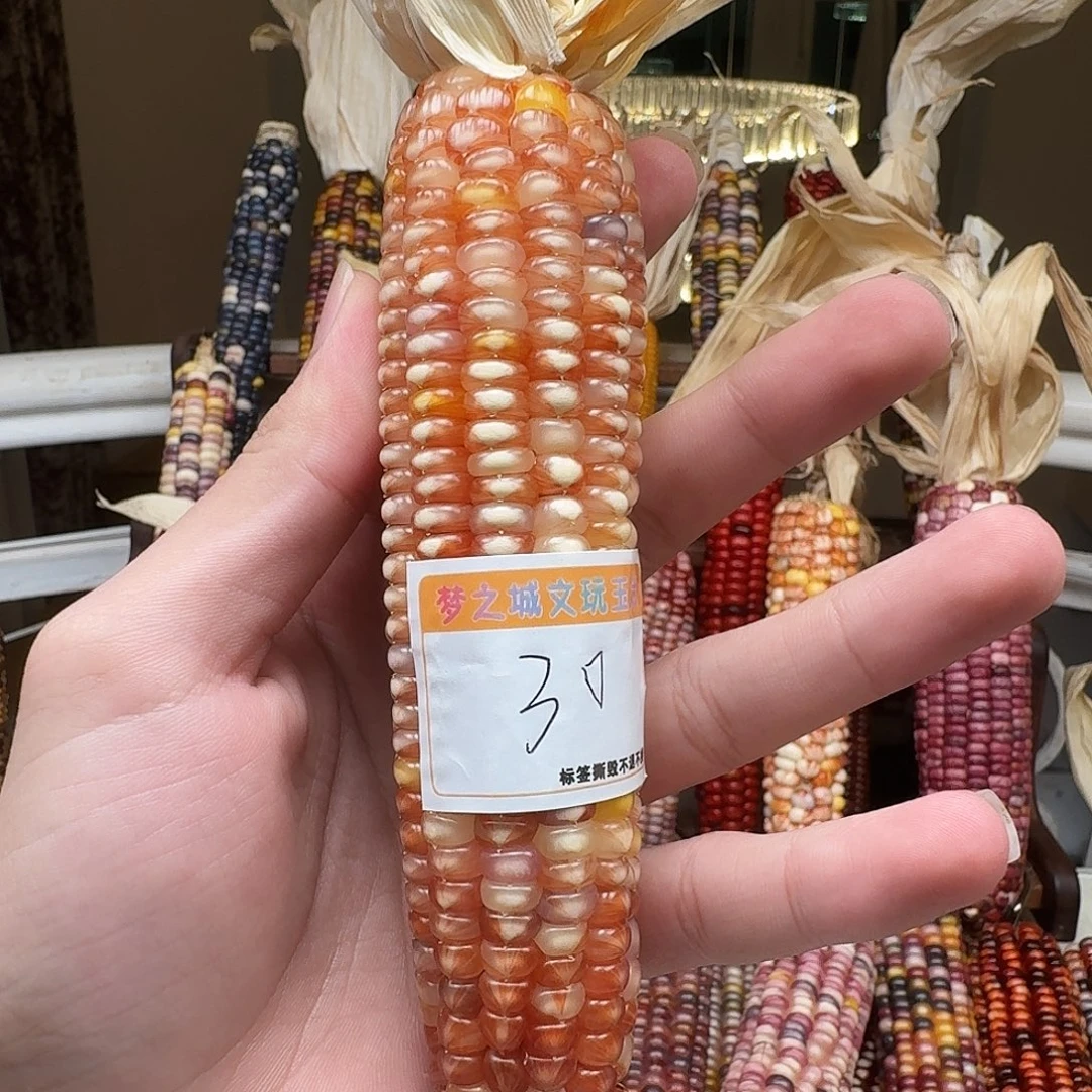 财***宝吊坠柏香籽/百香籽
