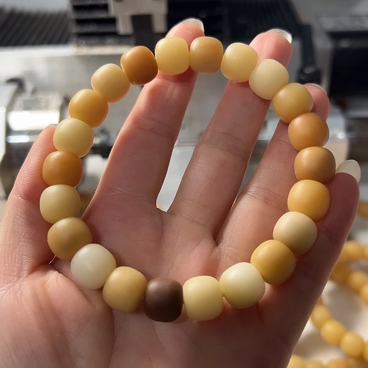 手串菩提根/象牙果