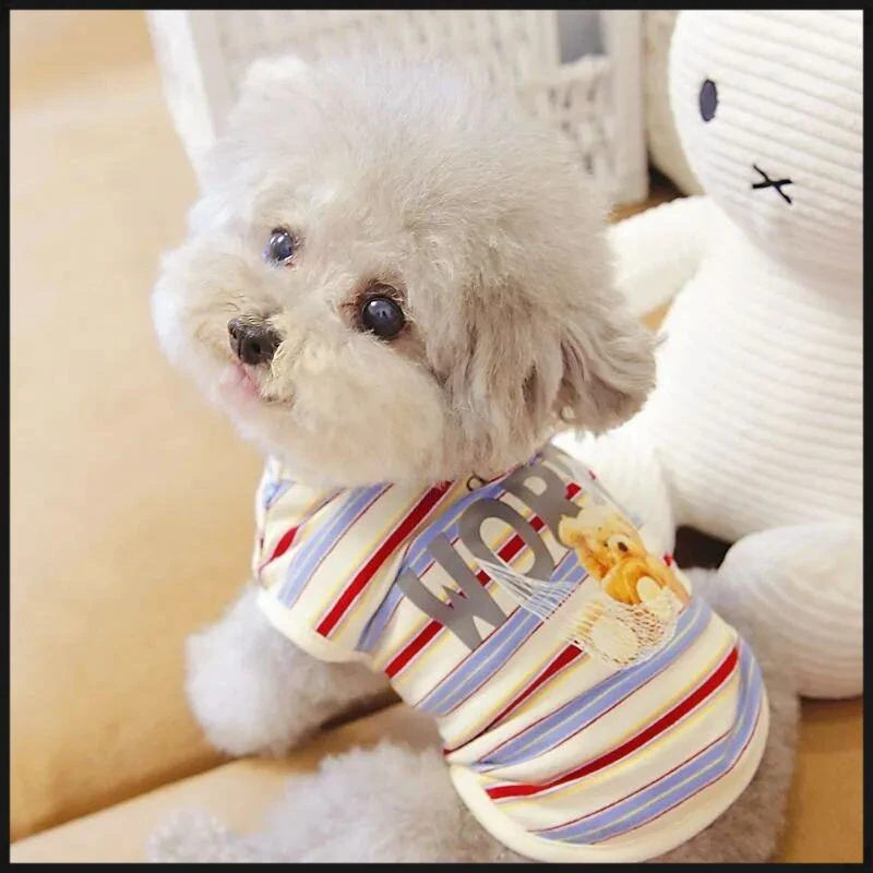 猫咪比熊小型犬泰迪狗狗宠物衣服夏季薄款背心泰迪多彩条纹D160