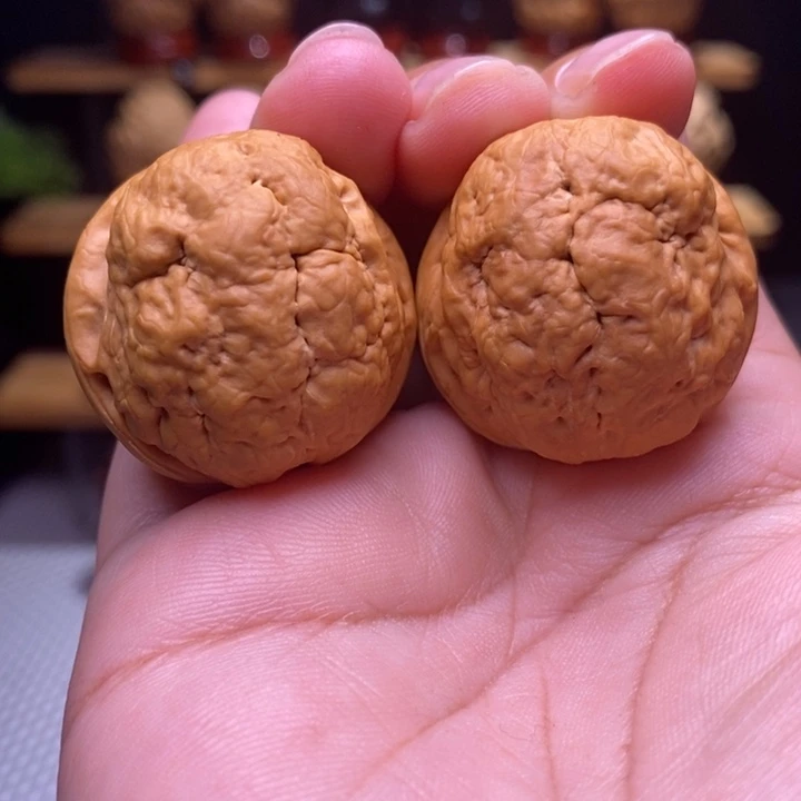 木质类云铁肌肉达摩16号33尺