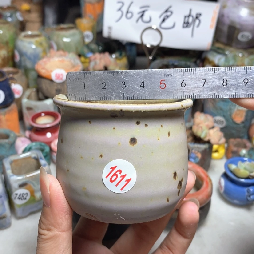 拍5送一个小礼物