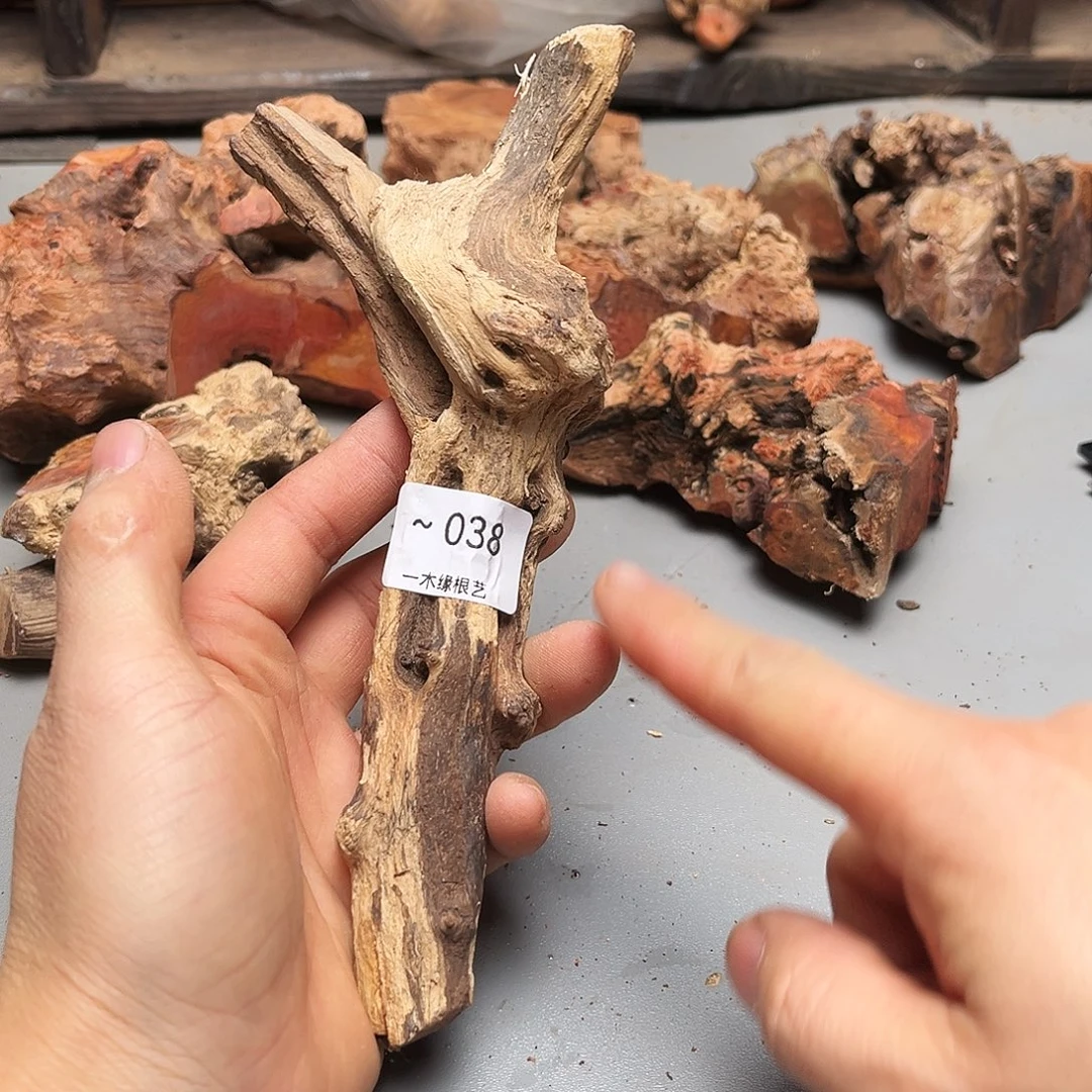 m***年无花朵0000000038