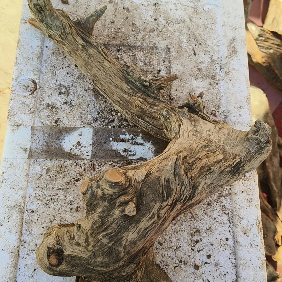 砖雕t****k福利捡漏！滴漏