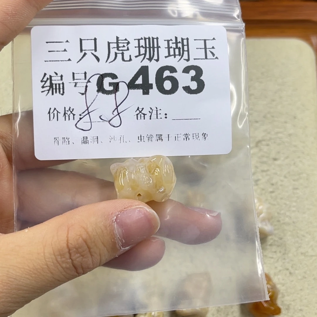 无***念硅化珊瑚（珊瑚玉）未镶嵌h