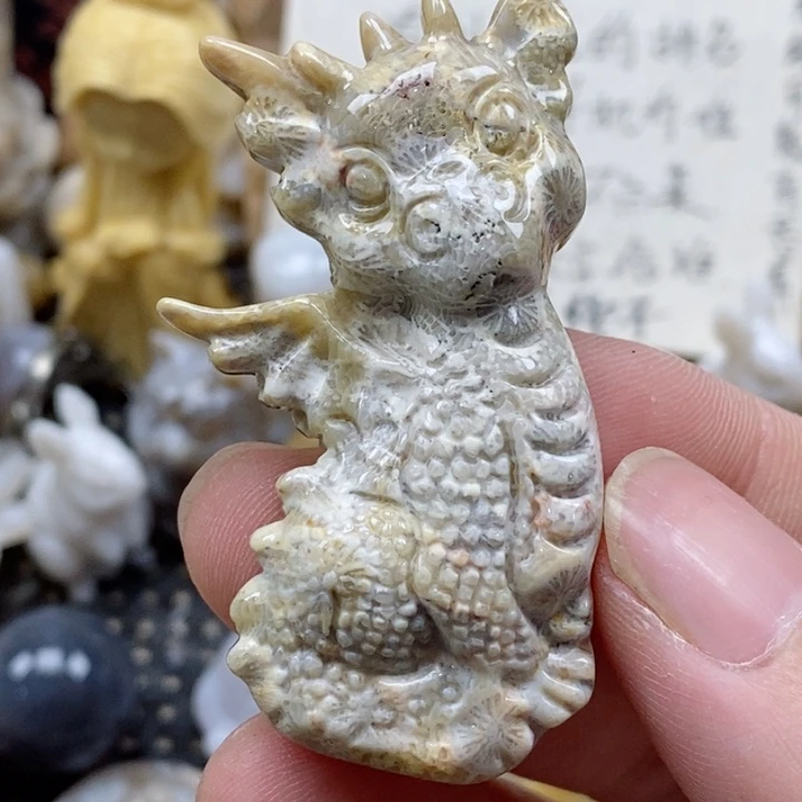 颈饰未镶嵌硅化珊瑚（珊瑚玉）有瑕