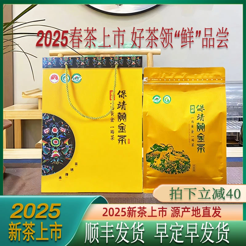 2025新茶保靖黄金茶正宗头采明前特级高山云雾绿茶叶嫩芽袋装250g