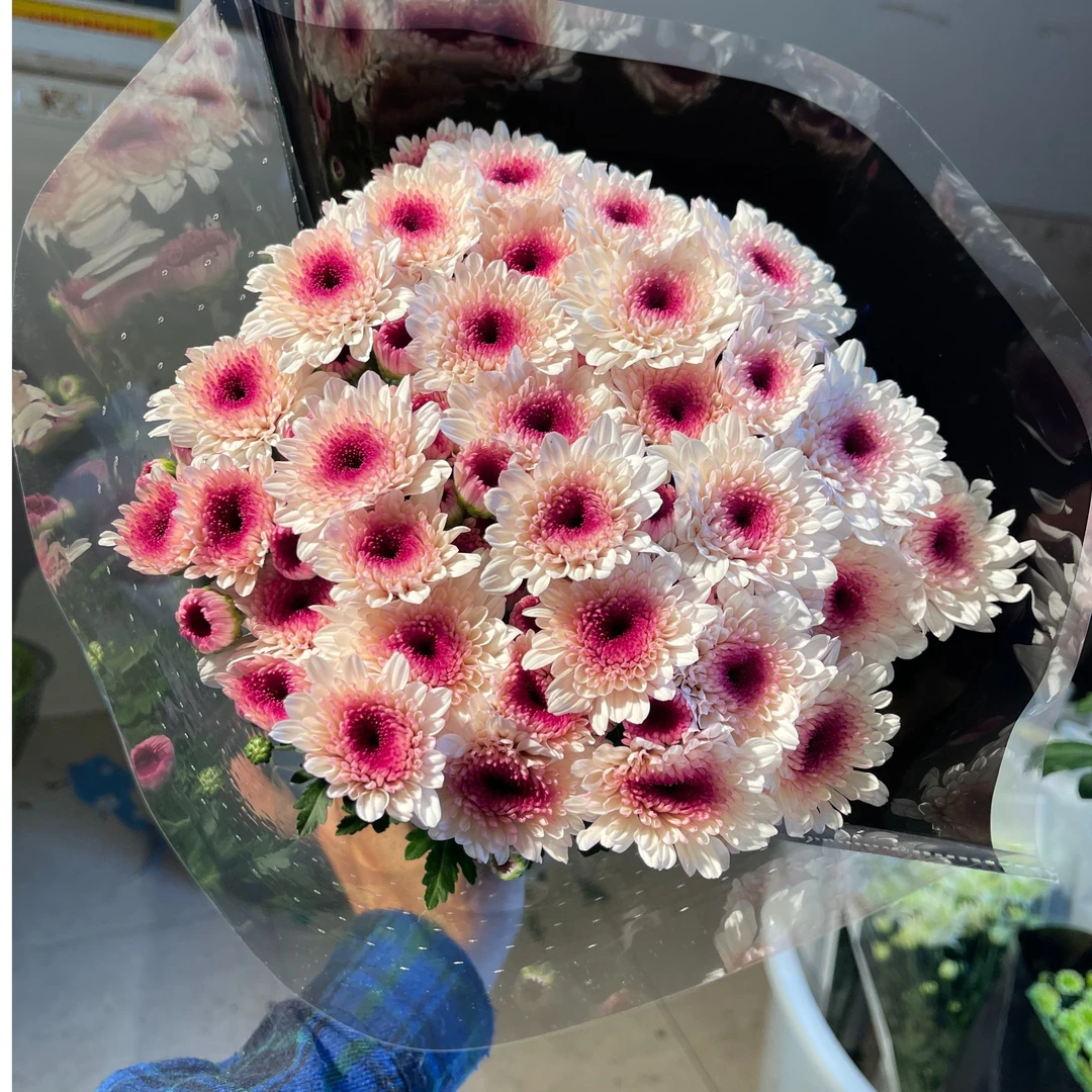 洛神 小雏菊全店任意N单一个运费