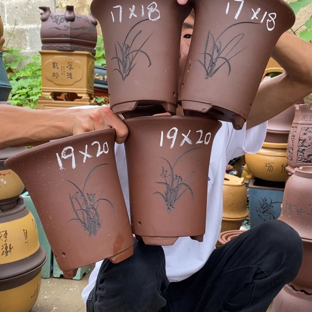 紫砂紫砂紫砂紫砂