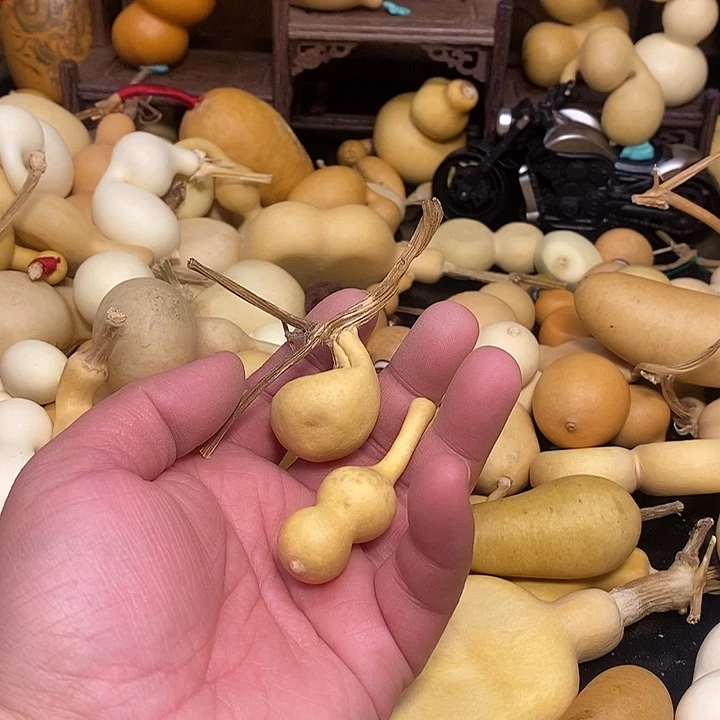 S***R精品葫芦手把葫芦23