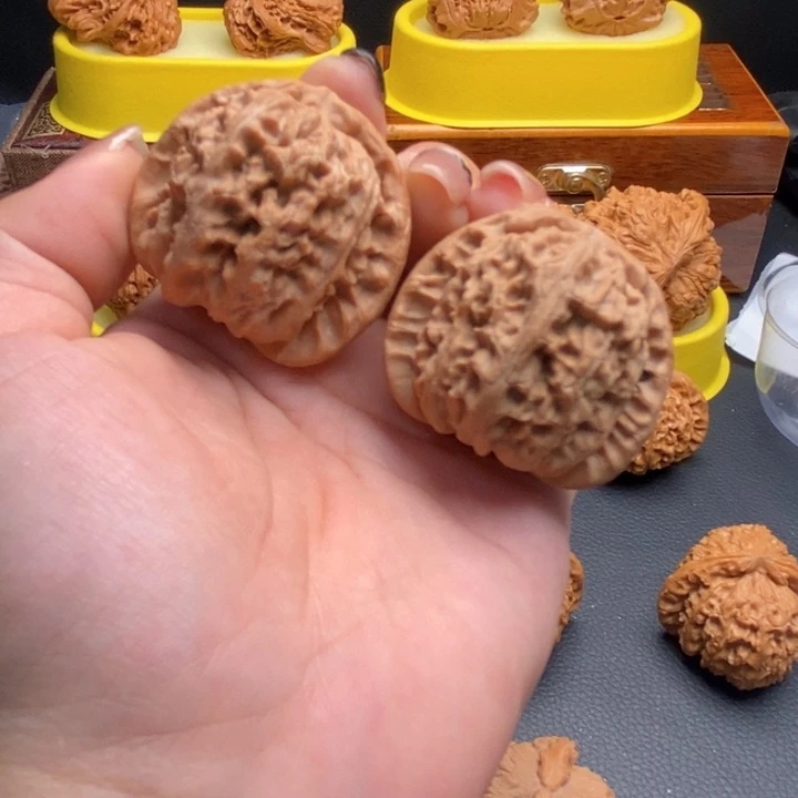 把件文玩核桃711白狮子40全品
