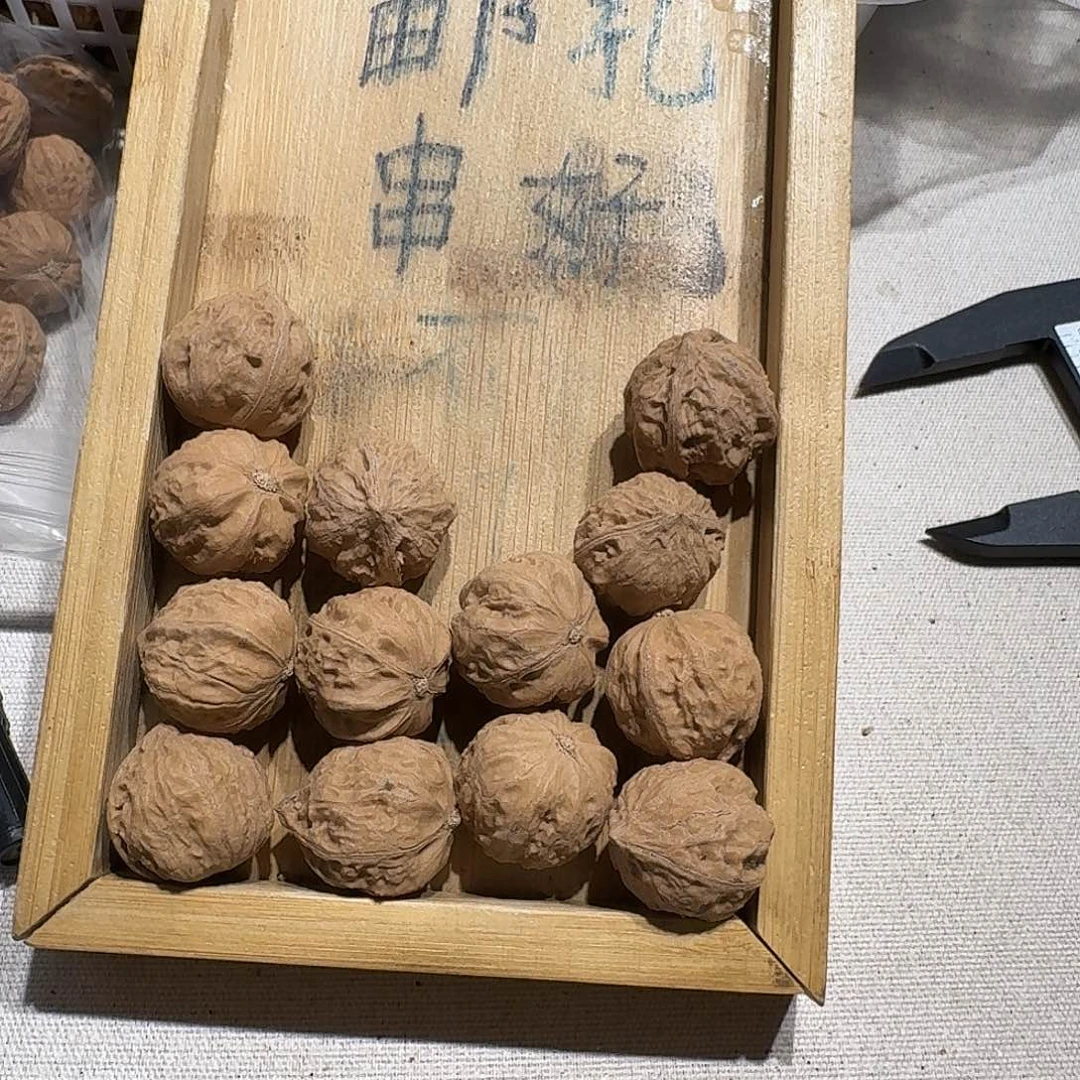 核桃手串/手链49号边23手串
