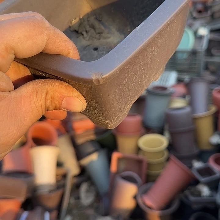 我是仲其祥家长小女孩是个女同学