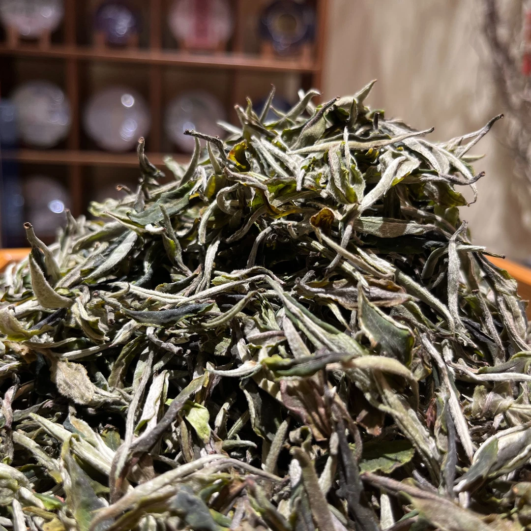 【白牡丹古树白茶】2025年古树白茶一芽一叶 春茶普洱茶散茶120克