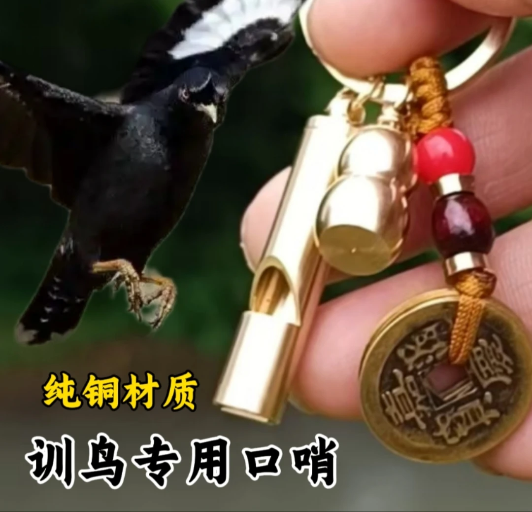 纯铜口哨八哥家里户外盘飞听声辨位训鸟口哨令