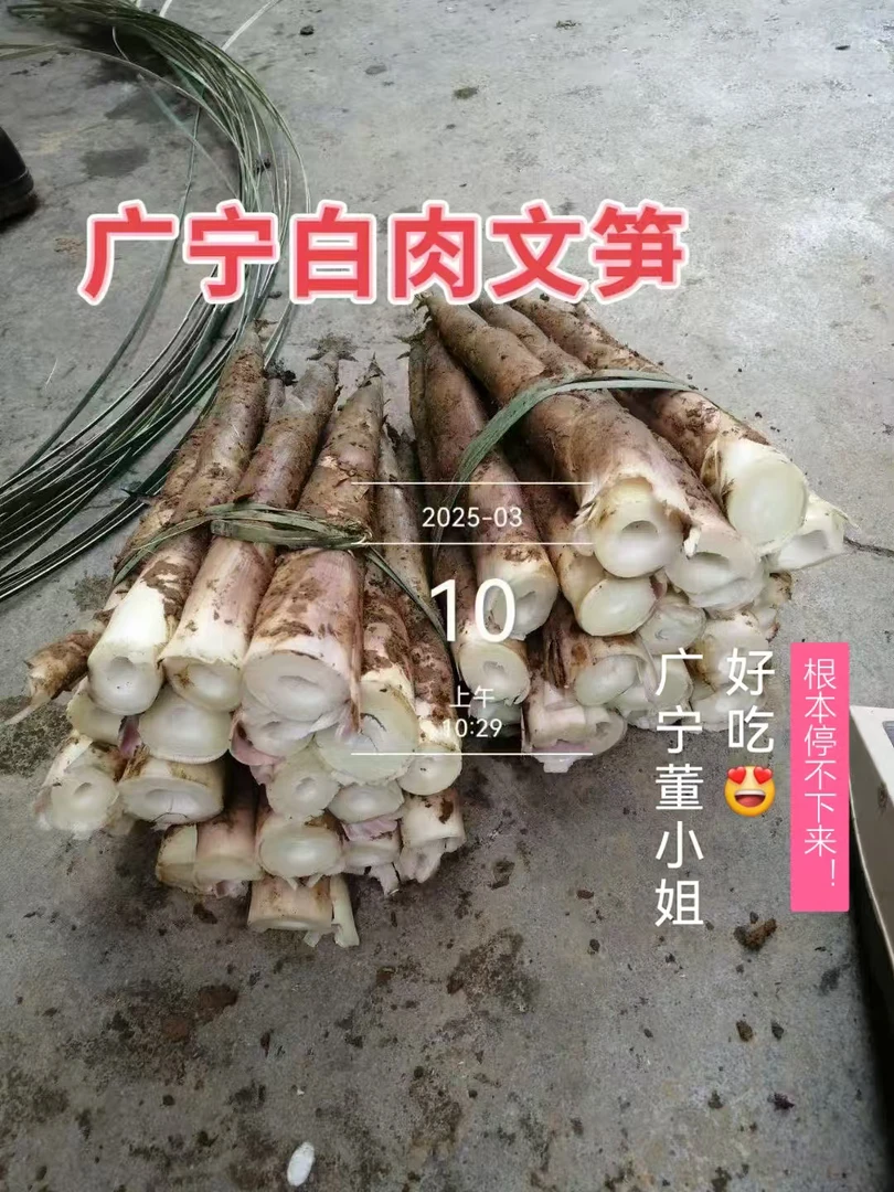 (京东包邮)正宗文笋广宁白肉文笋鲜甜脆口