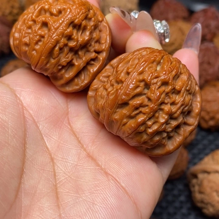 秦岭野生00000001